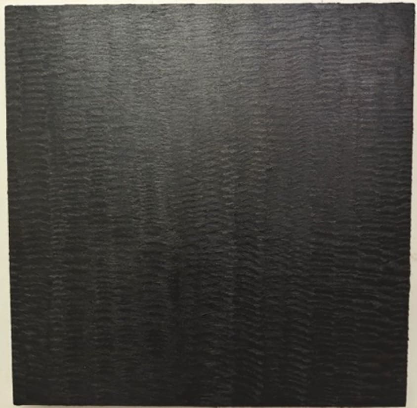 大巻伸嗣 / Shinji Ohmaki