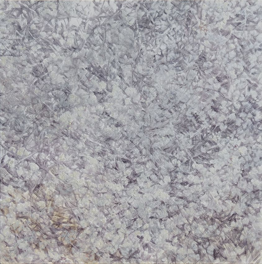 児玉靖枝 / Yasue Kodama