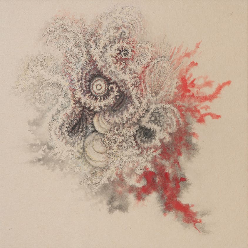 松岡勇樹 / Yuki Matsuoka