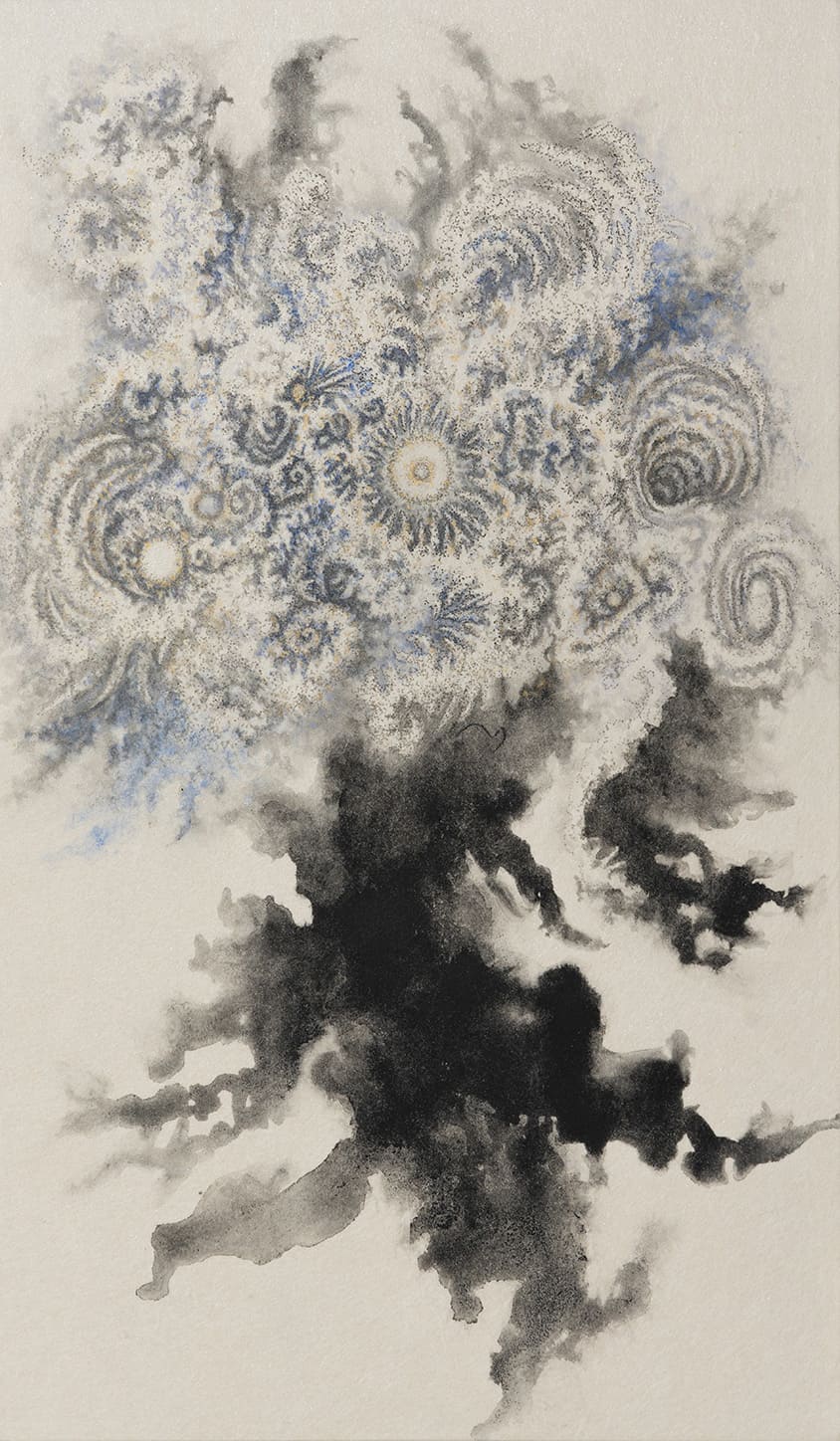 松岡勇樹 / Yuki Matsuoka