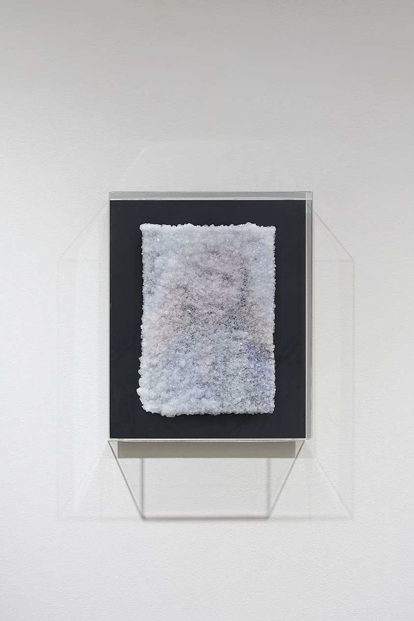 田中嵐 / Arashi Tanaka