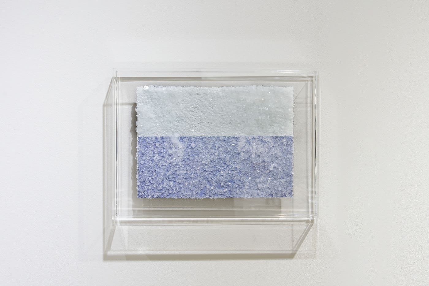 田中嵐 / Arashi Tanaka