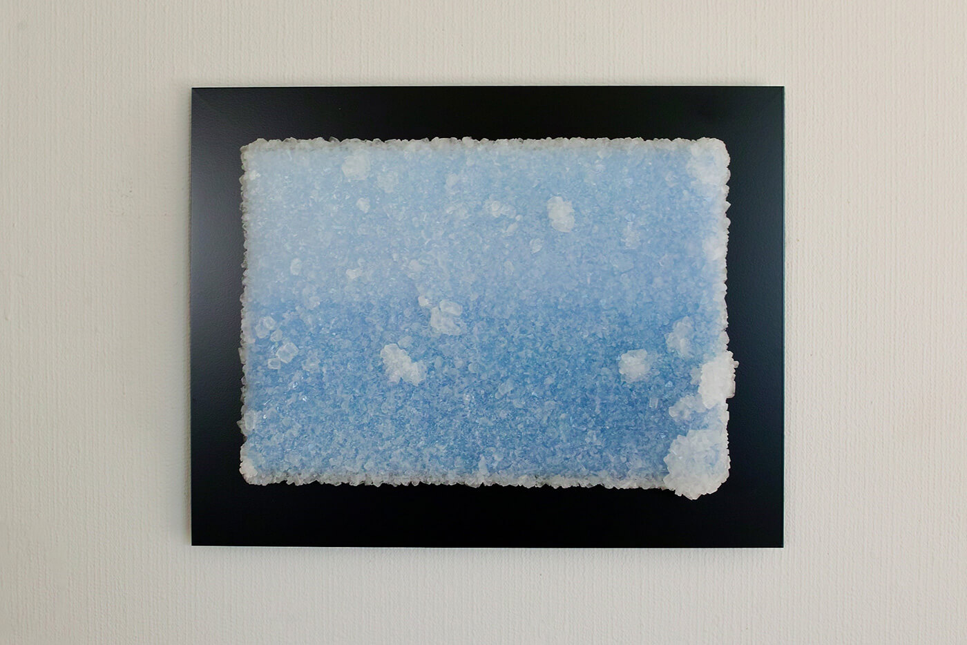 田中嵐 / Arashi Tanaka