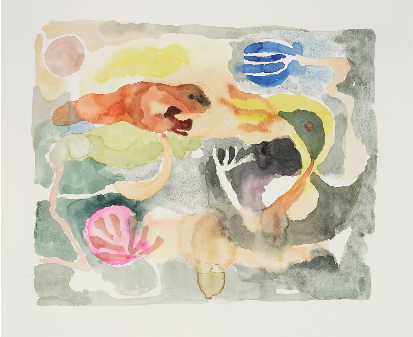 福本健一郎 / Kenichiro Fukumoto