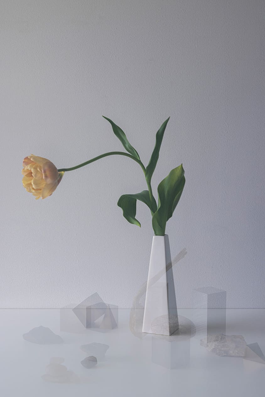 八木夕菜 / Yuna Yagi