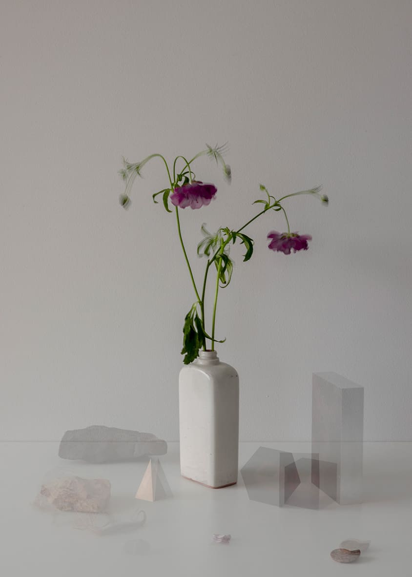 八木夕菜 / Yuna Yagi