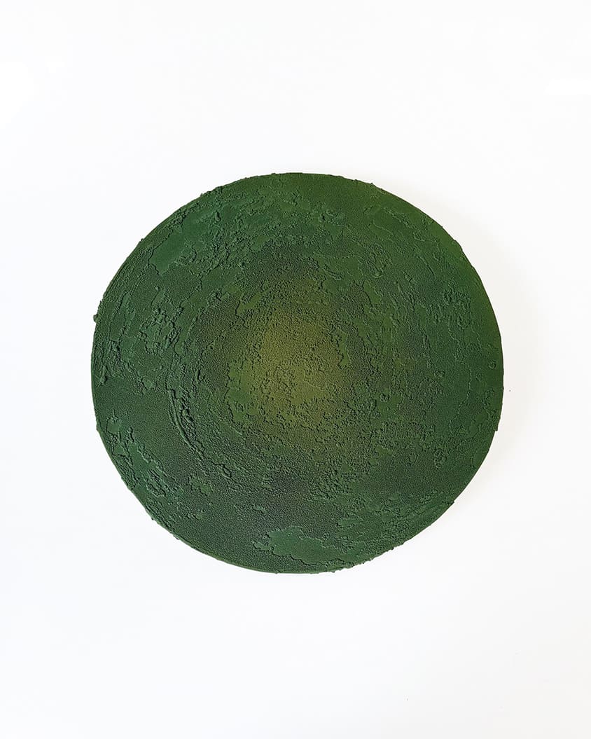 渡邉泰成 / Taisei Watanabe