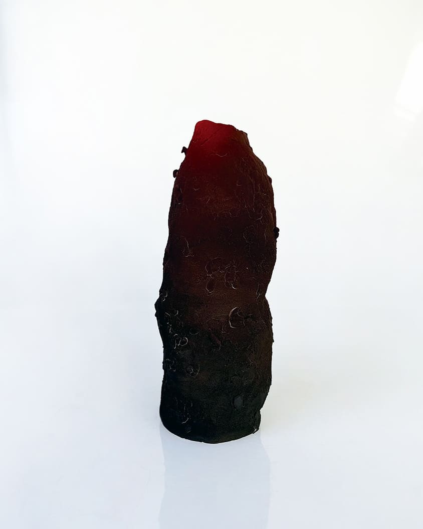 渡邉泰成 / Taisei Watanabe