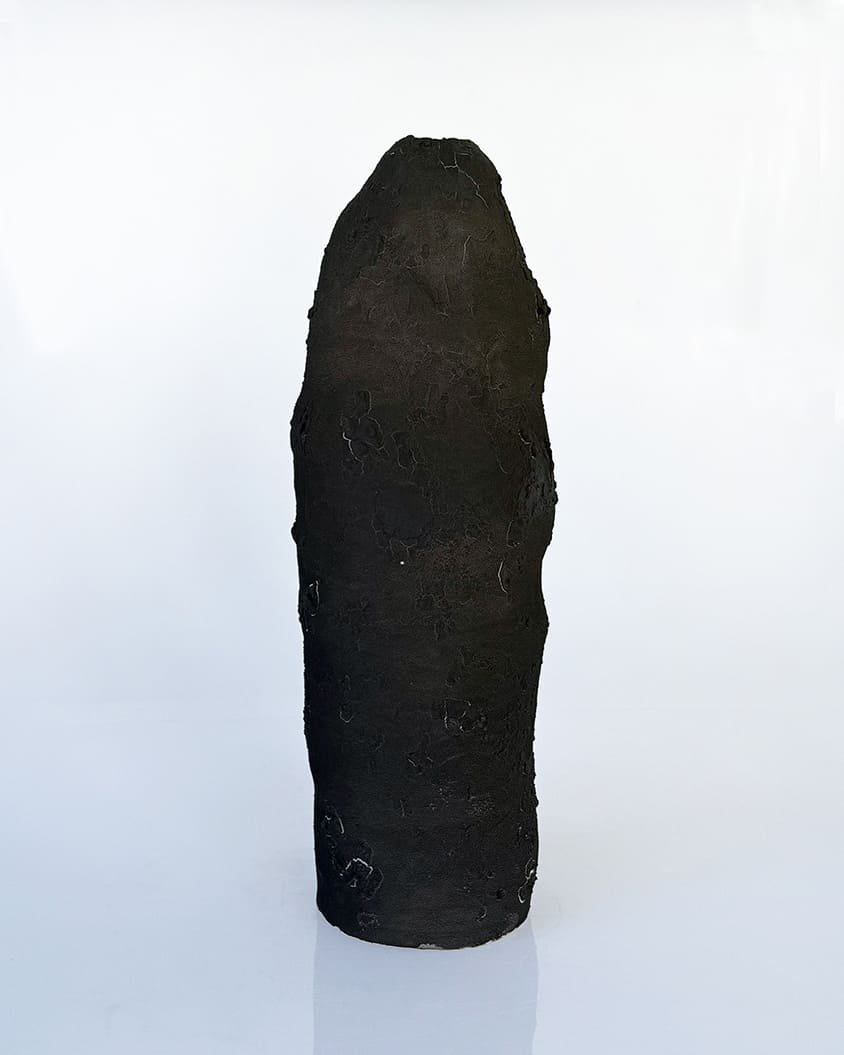 渡邉泰成 / Taisei Watanabe